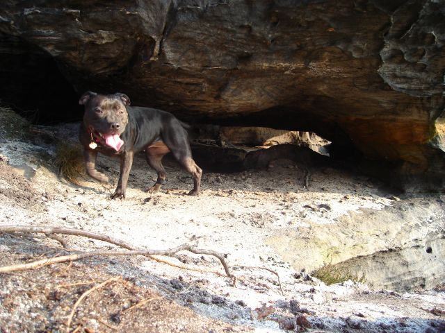 DSC09254.jpg