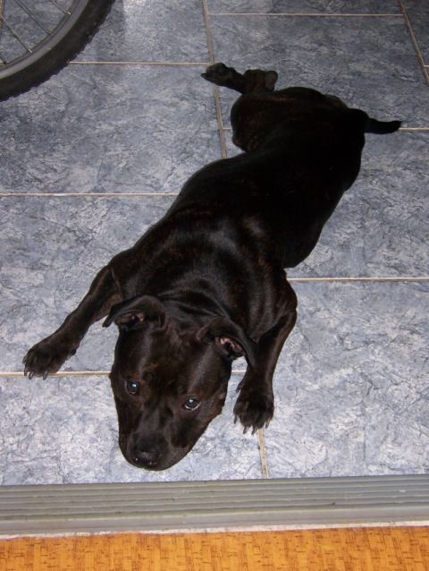 100_4567.jpg