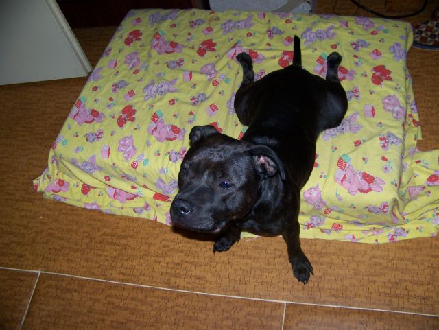 100_9579.jpg