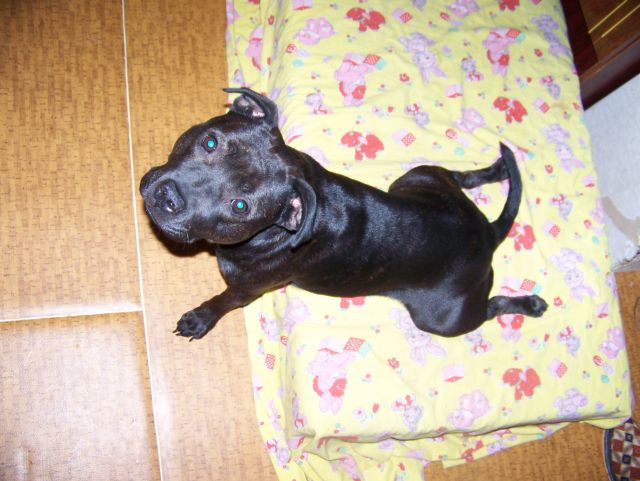 100_9584.jpg