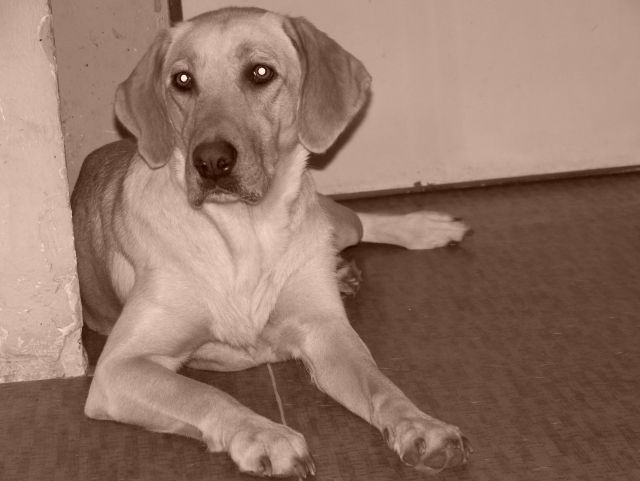 100_9333.jpg