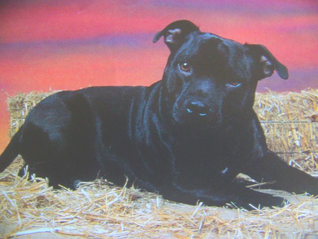 100_9906.JPG