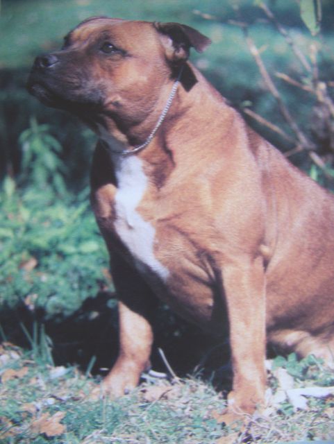 100_9911.JPG